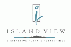 big_islandview